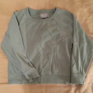 Sage green sweatshirt from Everlane